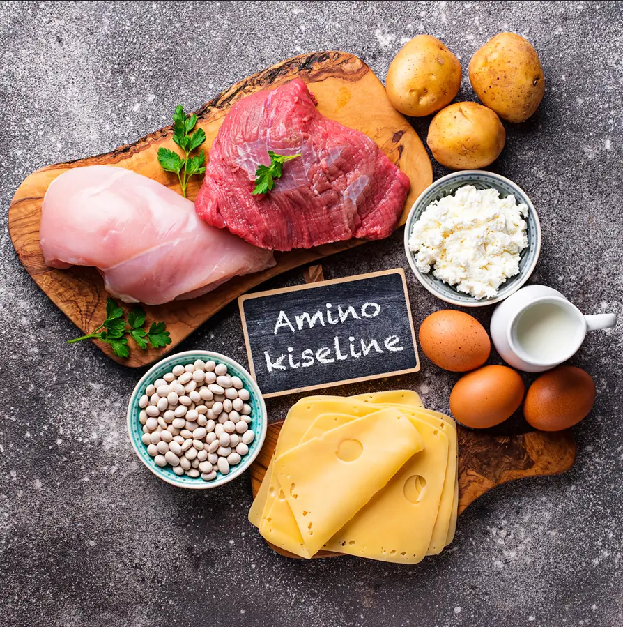 Aminokiseline- prirodne namirnice